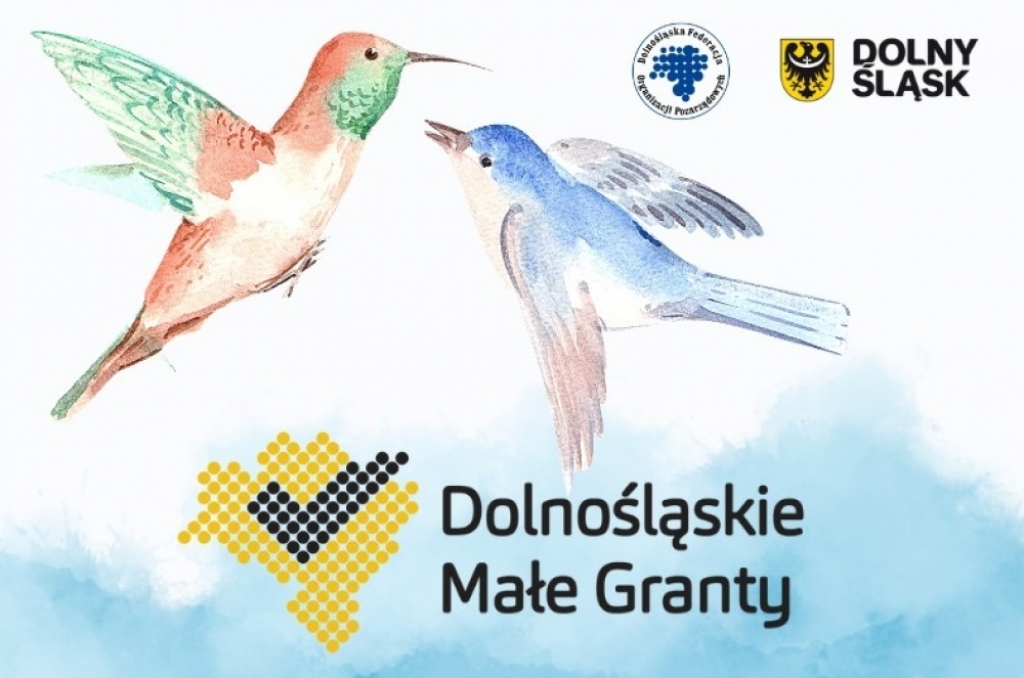 Ostatnie godziny naboru do 9. edycji Dolnośląskich Małych Grantów - Fot: materiały prasowe