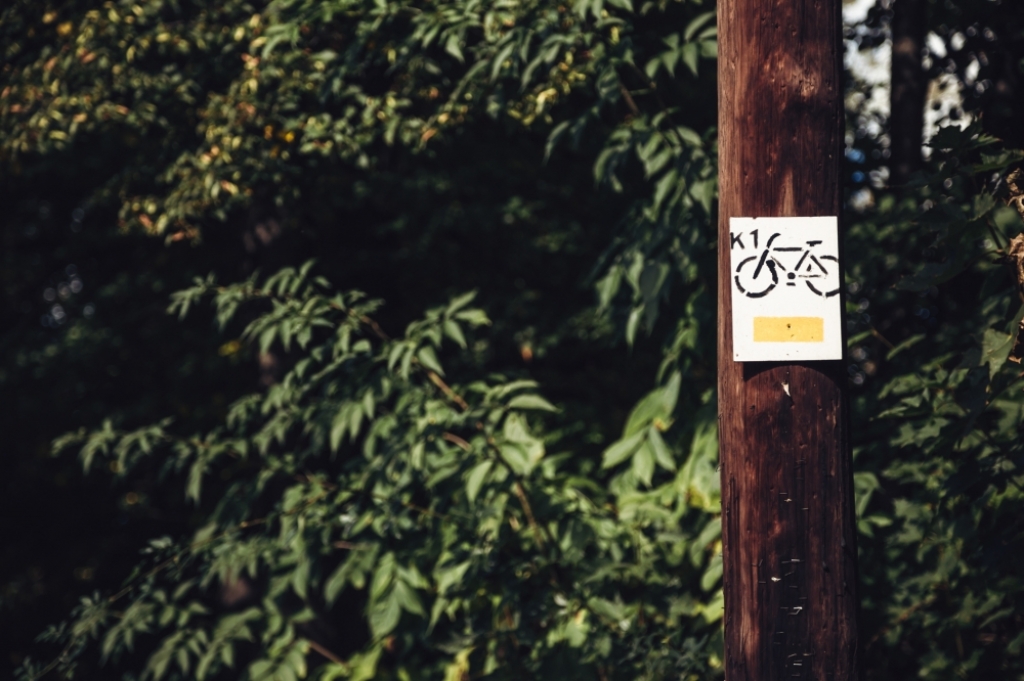 Na Dolnym Śląsku powstaną parki do nauki i doskonalenia technik jazdy na rowerze - zdjęcie ilustracyjne, fot. archiwum radiowroclaw.pl