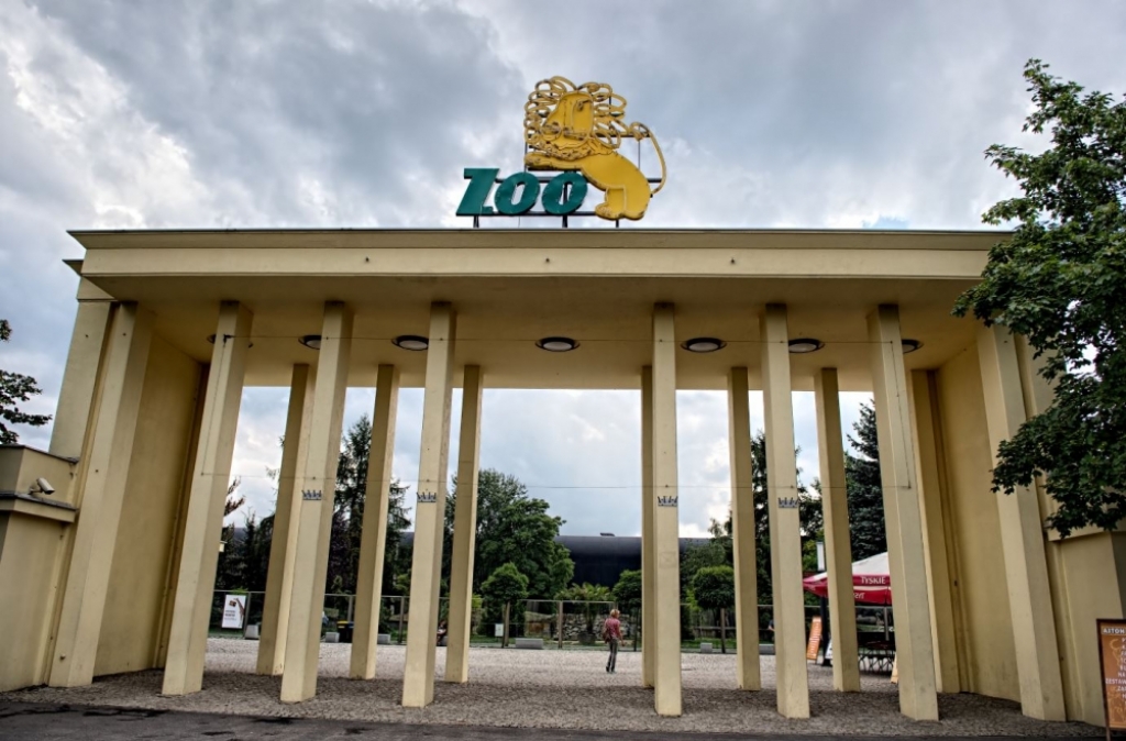 Wrocławscy Zieloni zabrali głos w sprawie zwolnionego dyrektora ZOO - fot. archiwum radiowroclaw.pl