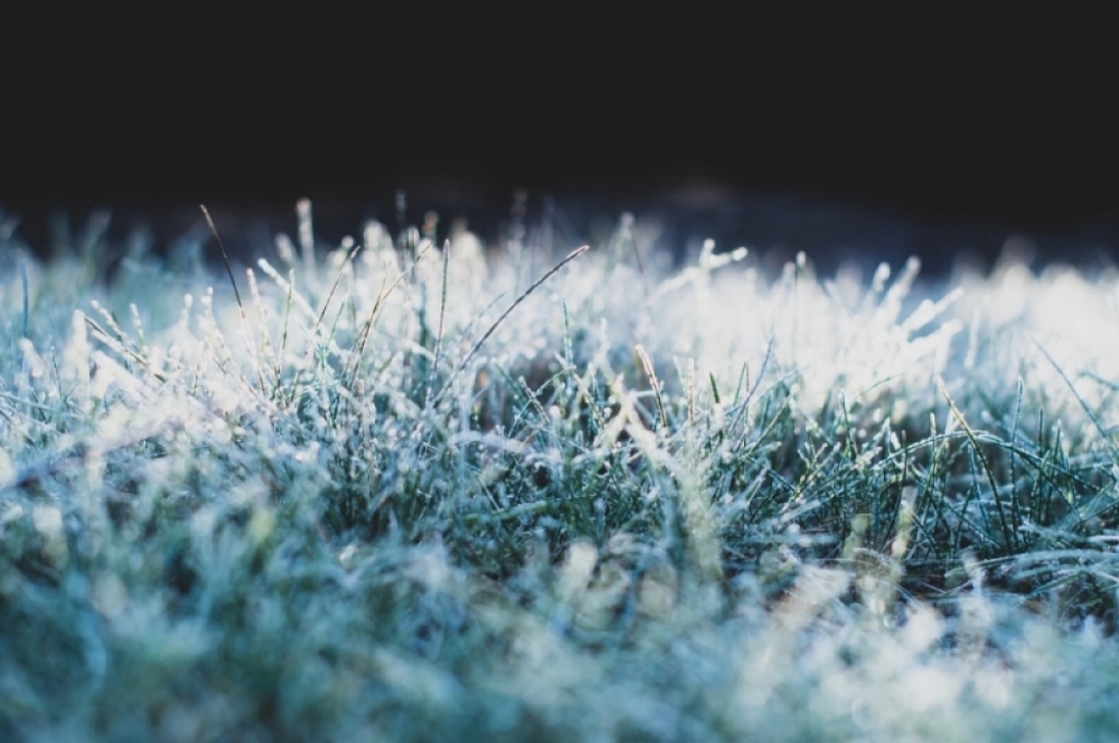 OSTRZEŻENIE METEO: Przymrozki - fot. zdjęcie ilustracyjne, Pixabay