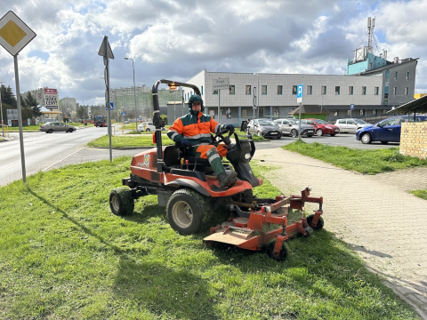 Kolorowo i wiosennie w Jeleniej Górze - 2