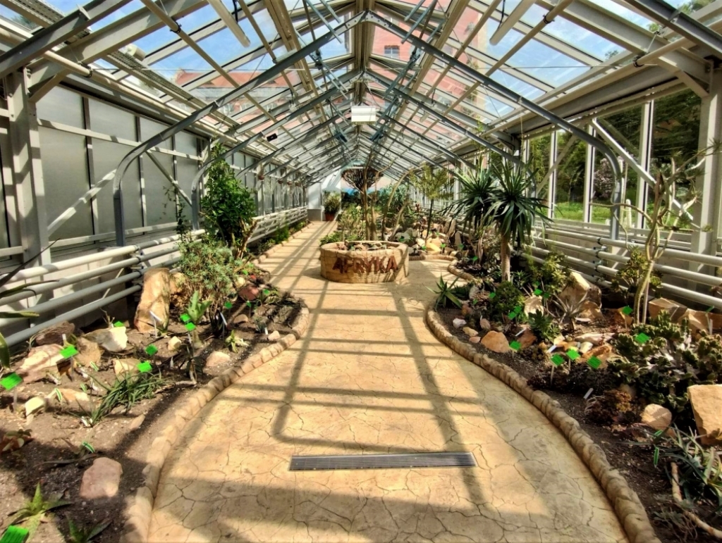 Można już zwiedzać szklarnie wrocławskiego Ogrodu Botanicznego - fot. Jakub Ciołko