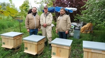 Bank Pszczeli pomógł wrocławskiemu pszczelarzowi