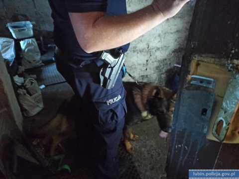 Policja rozbiła grupę zbrojną zajmującą się handlem narkotykami; siedem osób aresztowanych - 10