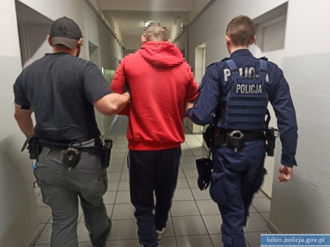 Policja rozbiła grupę zbrojną zajmującą się handlem narkotykami; siedem osób aresztowanych - 7