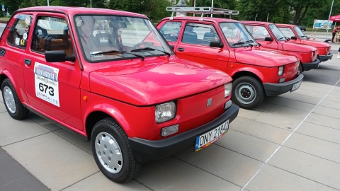 „50 lat malucha”. We Wrocławiu trwa zlot kultowych Fiatów 126p - 0