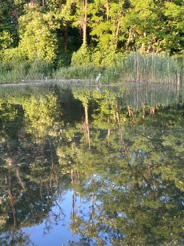 Rower Radia Wrocław - oto kolejna zwyciężczyni  - 19