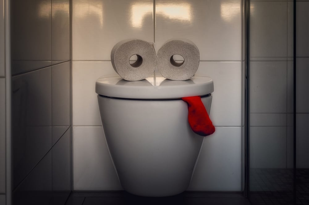 Toaleta to nie śmietnik – apeluje jeleniogórski Wodnik - zdjęcie ilustracyjne pixabay.com