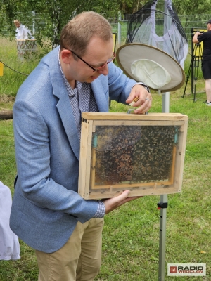 Z pomocą pszczół chcą promować prawidłowy recykling - 0
