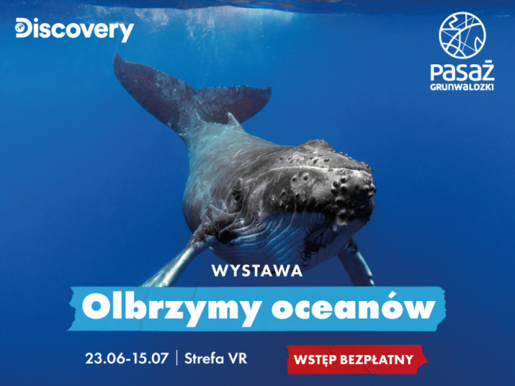 Olbrzymy oceanów w Pasażu Grunwaldzkim - fot. materiały prasowe