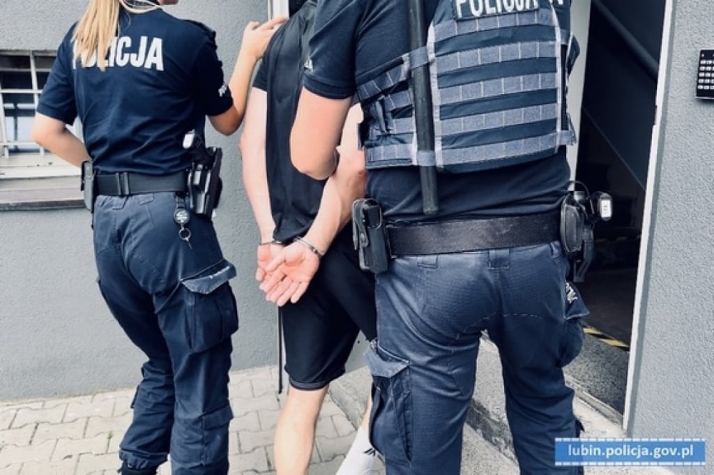Napadał na kobiety – trafił do aresztu - Fot: dolnośląska policja