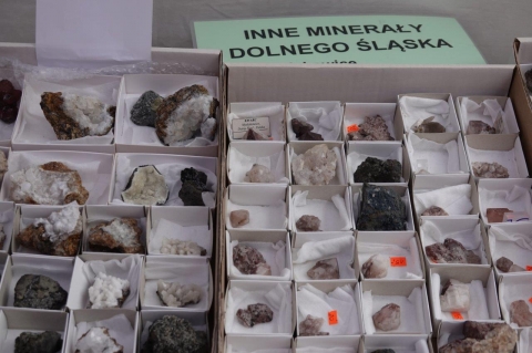Meteoryty w rolach głównych na Sudeckim Festiwalu Minerałów  - 2