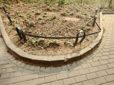 Odnowione wrocławskie podwórze regularnie dewastowane  - 1