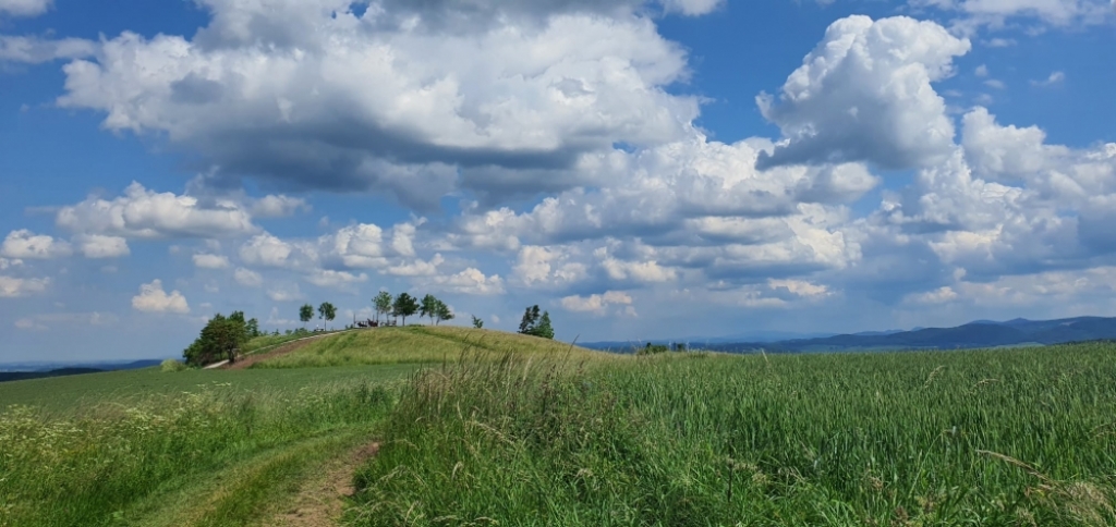 Bolków chce pokazać turystom coś więcej niż zamek - Fot: Gmina Bolków