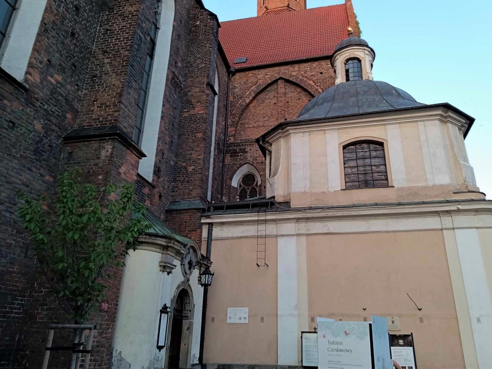 Trwa tydzień poświęcony patronowi Wrocławia - fot. Jakub Ciołko