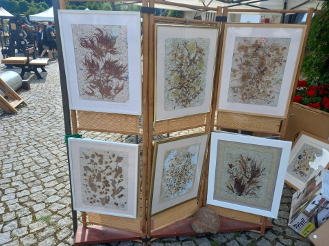 DRJ: Dusznicka papiernia w przeddzień jej urodzin - 3