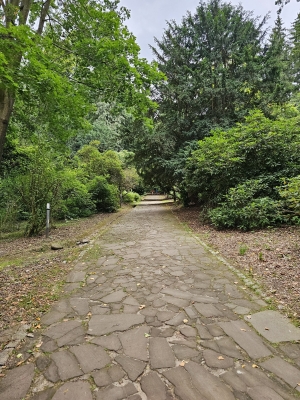 Szczawno-Zdrój wyremontuje swoje parki - 3
