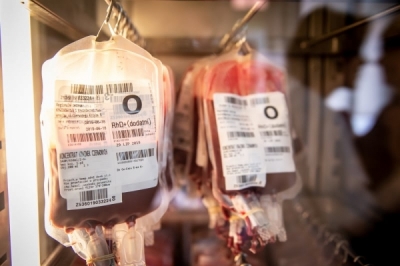 RCKiK we Wrocławiu apeluje do dawców z grupy krwi Rh-