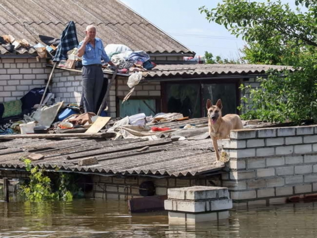 Kolejna misja ratowania zwierząt z Ukrainy. Czworonogi wróciły do swoich opiekunów - Fot: Wrocławska Ekostraż