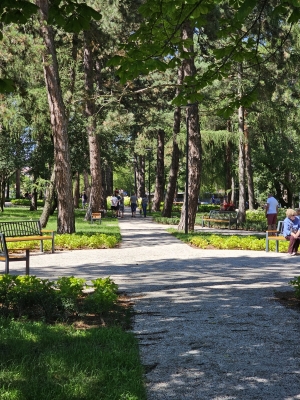 Park Sybiraków w Wałbrzychu już gotowy (ZDJĘCIA) - 18
