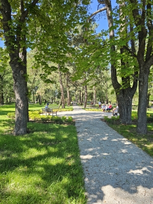Park Sybiraków w Wałbrzychu już gotowy (ZDJĘCIA) - 19