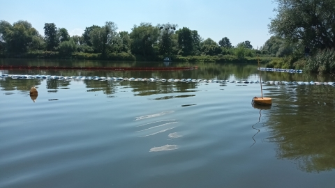 Bronią zalewu Czernica: To go zabije - alarmują. Wojewoda: Alga grozi zatruciem Odry - 0