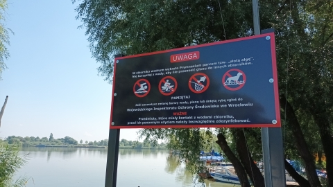 Bronią zalewu Czernica: To go zabije - alarmują. Wojewoda: Alga grozi zatruciem Odry - 1