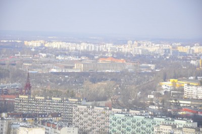 Sky Tower pnie się w górę (Zobacz) - 9