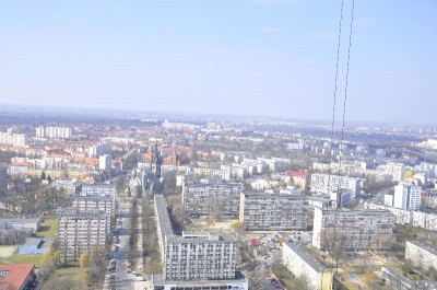 Sky Tower pnie się w górę (Zobacz) - 6