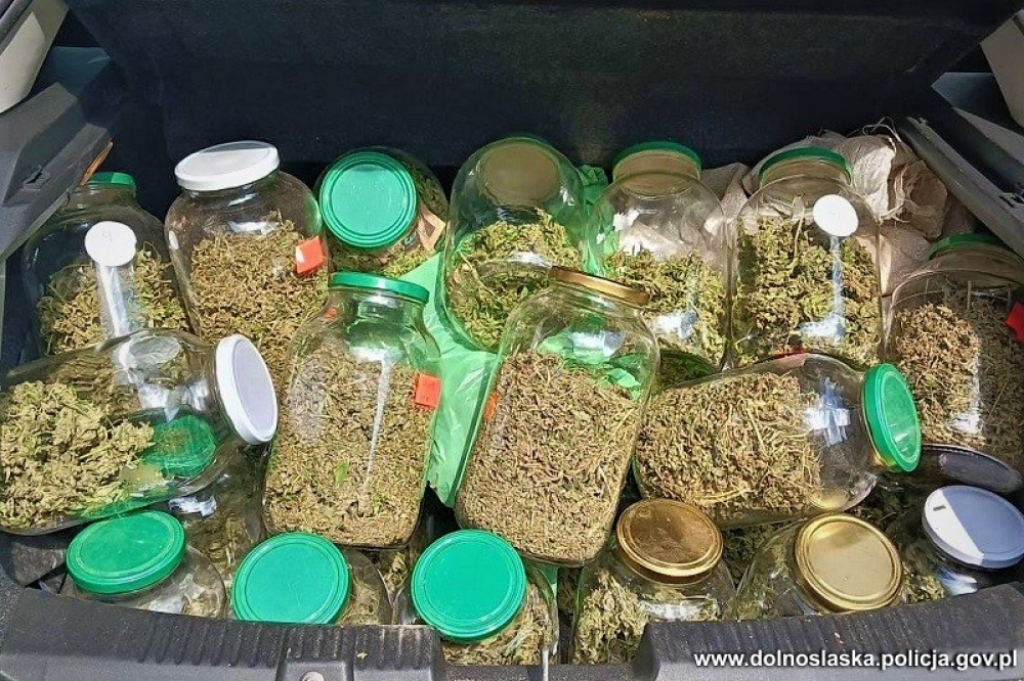 Areszt dla mężczyzny, który uprawiał 160 krzewów konopi i miał 11 kg narkotyków - fot. Policja