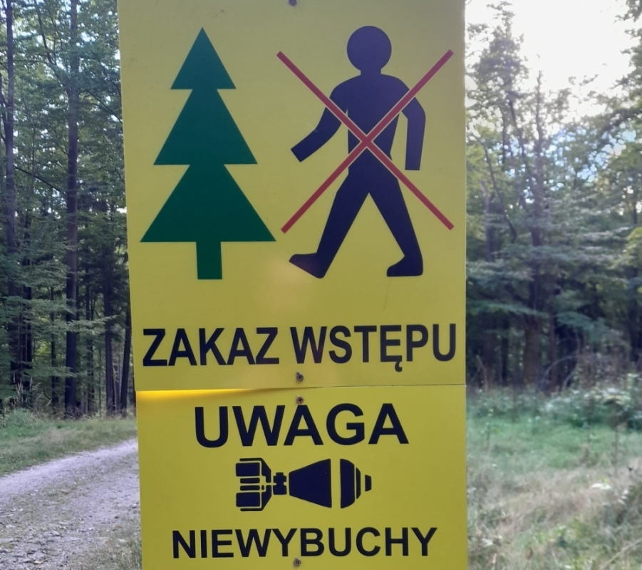 Prace saperskie w Karkonoskim Parku Narodowym - fot.  Karkonoski Park Narodowy