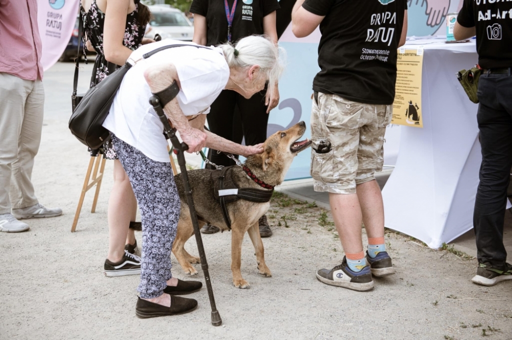 Piknik charytatywny dla czworonogów w Parku Tysiąclecia we Wrocławiu – fot. Grupa Ratuj