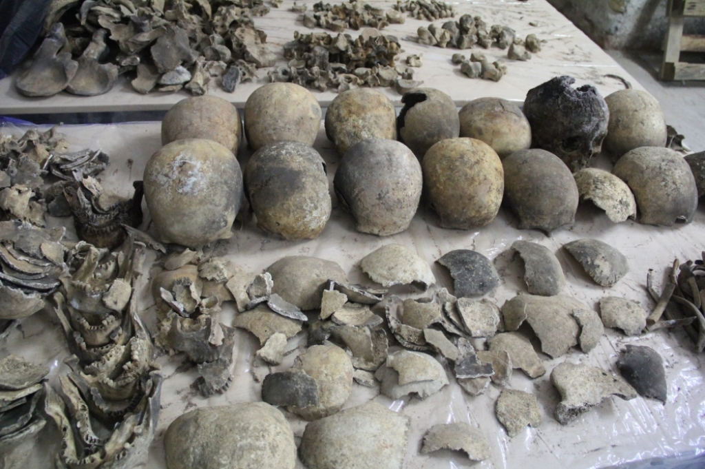 Badają kości znalezione w katedrze świdnickiej - fot. materiały prasowe