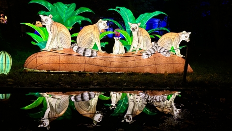 Pierwsza wystawa świateł Garden Of Lights w ZOO Wrocław - 0
