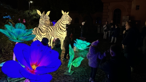 Pierwsza wystawa świateł Garden Of Lights w ZOO Wrocław - 1