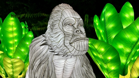 Pierwsza wystawa świateł Garden Of Lights w ZOO Wrocław - 4