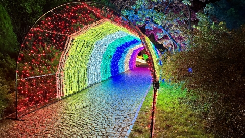 Pierwsza wystawa świateł Garden Of Lights w ZOO Wrocław - 7