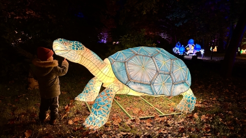 Wrocławskie zoo gości afrykańską wystawę - 13