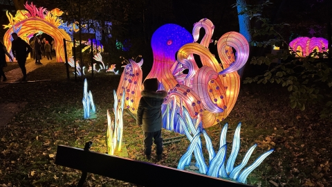 Wrocławskie zoo gości afrykańską wystawę - 9