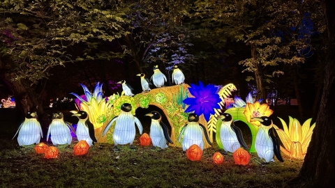 Wrocławskie zoo gości afrykańską wystawę - 10