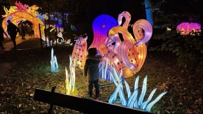 Wystawa Ogr&oacute;d Świateł  "Dzika Afryka" we wrocławskim zoo