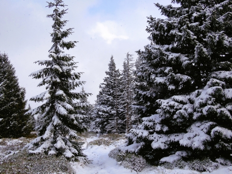 W Karkonoszach są zimowe warunki [ZDJĘCIA] - 1