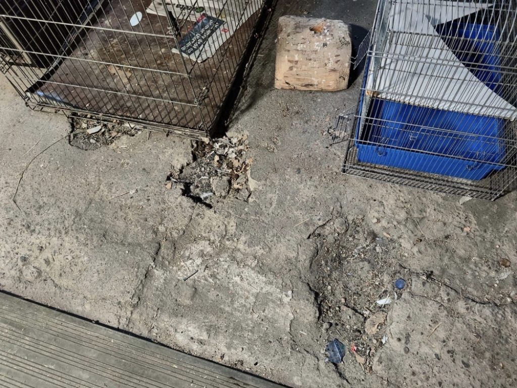 Uszkodzony dach schroniska Ekostraży. Potrzebna pomoc - fot. Ekostraż