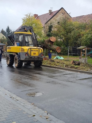 W trosce o ekologię i bezpieczeństwo... wycięli drzewa - 0