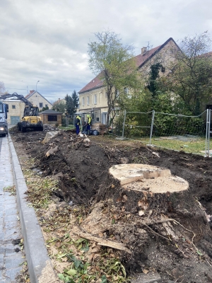 W trosce o ekologię i bezpieczeństwo... wycięli drzewa - 4