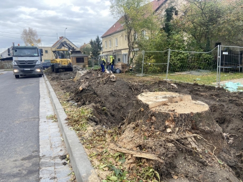 W trosce o ekologię i bezpieczeństwo... wycięli drzewa - 5