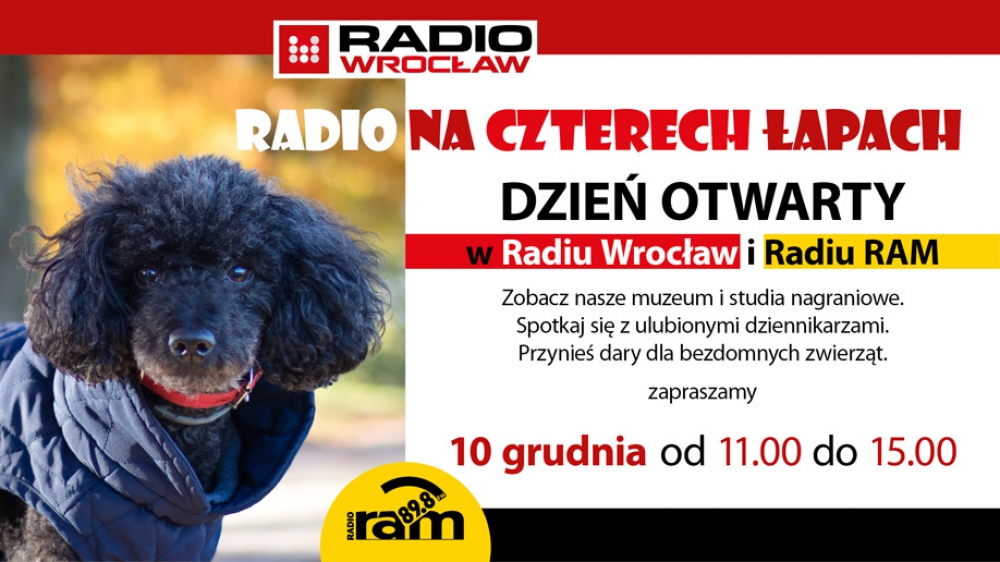 Radio na czterech łapach - fot. Radio Wrocław