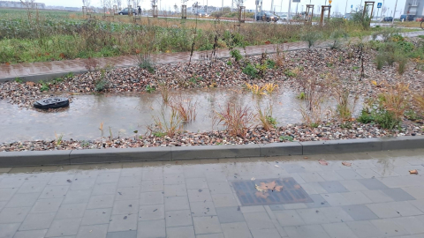 "Miała być szkoła bez basenu, a jednak mamy pływalnię". Placówka przy Asfaltowej zalana - 4