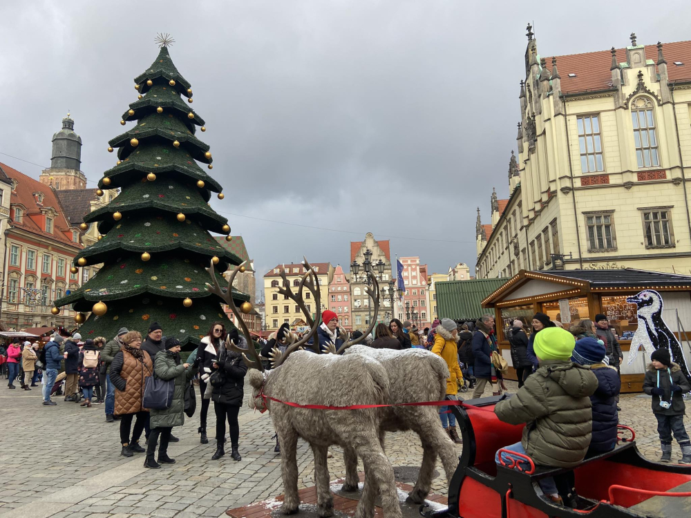 "To nie choinka, to sękacz" - żartują wrocławianie. Dziś po południu rozbłyśnie! - fot. Martyna Czerwińska