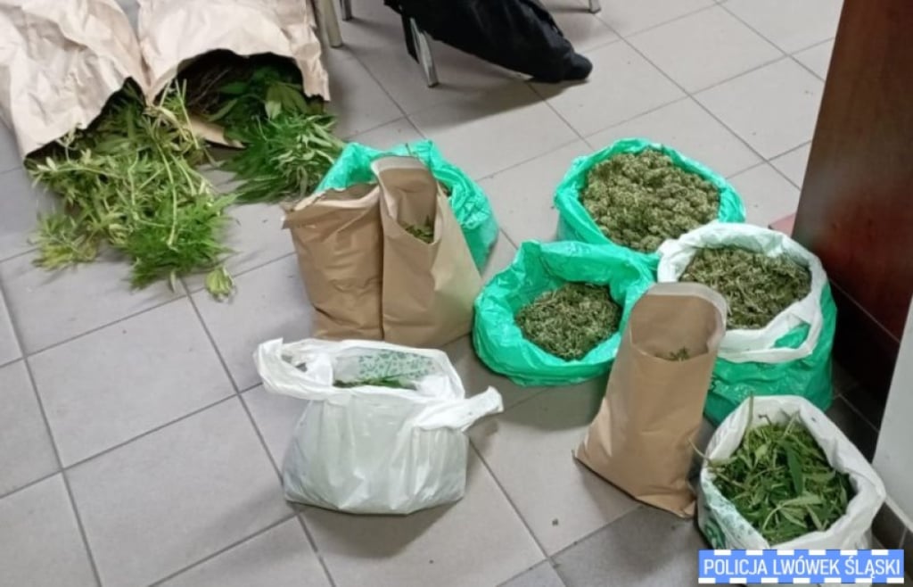 Policja rozbiła grupę zajmującą się przemytem narkotyków; zatrzymano 20 osób - fot. Policja